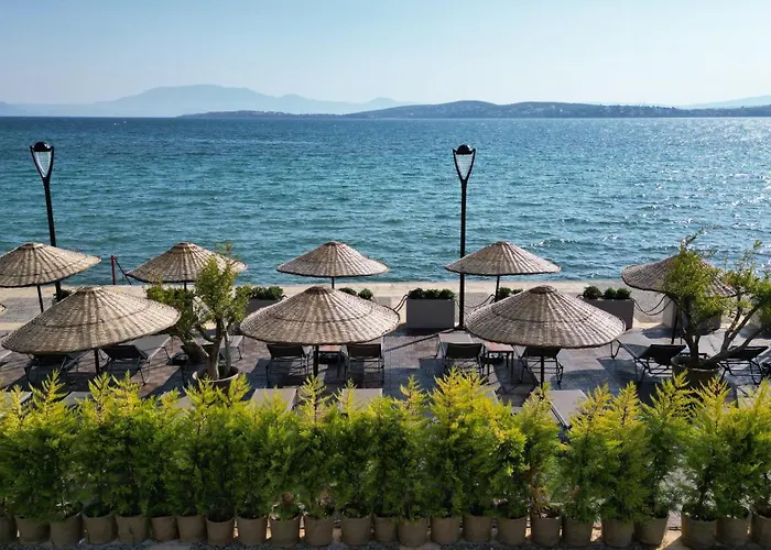 Rasim - Adults Only * Çeşme